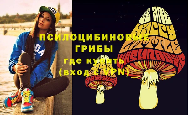 spice Алексин