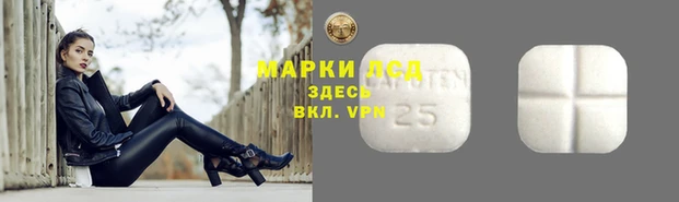 spice Алексин
