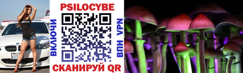 Псилоцибиновые грибы Psilocybe  купить   Бикин 